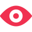 Vision